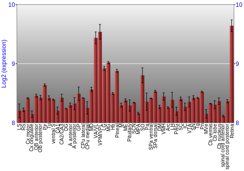Expression graph