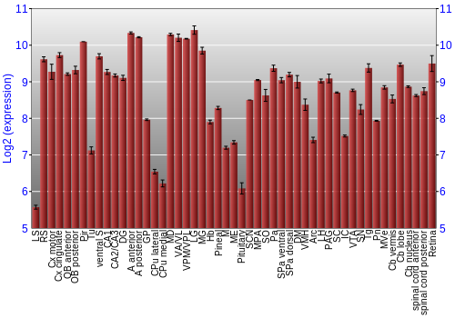 Expression graph