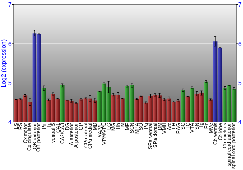 Multi-state expression graph