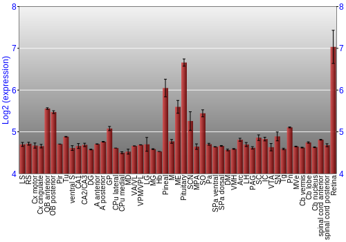 Expression graph