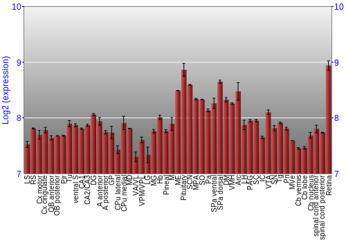 Expression graph
