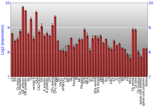 Expression graph