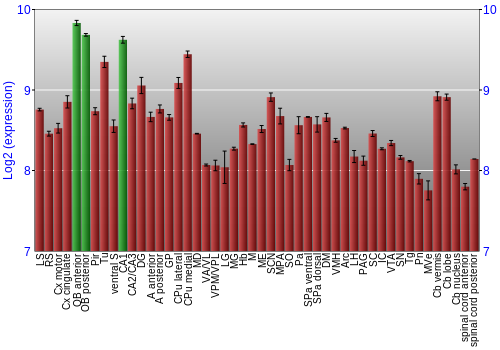 Multi-state expression graph