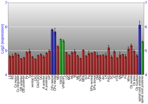 Multi-state expression graph