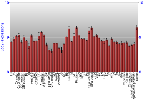 Expression graph