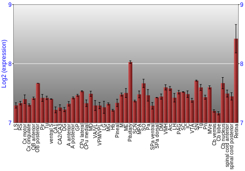 Expression graph