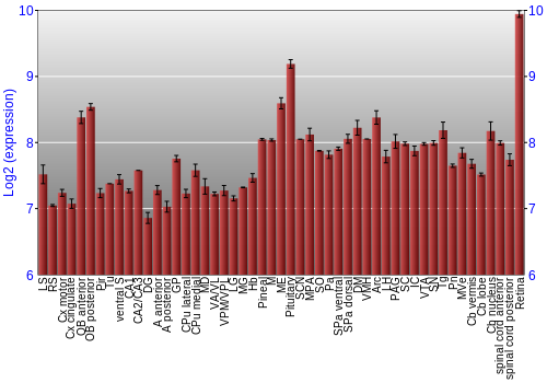 Expression graph