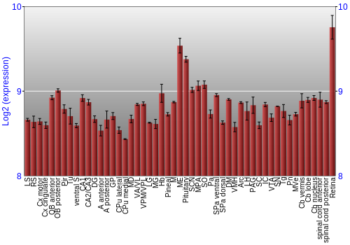 Expression graph