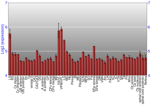 Expression graph