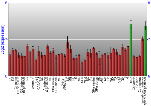 Multi-state expression graph