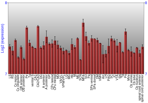 Multi-state expression graph