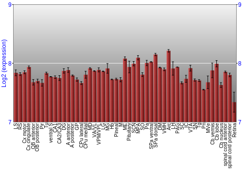 Expression graph