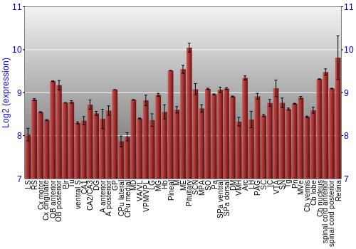 Expression graph