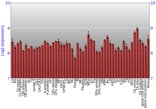 Expression graph
