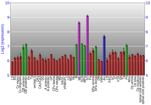Multi-state expression graph