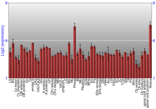 Expression graph