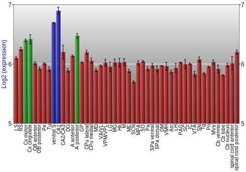 Multi-state expression graph