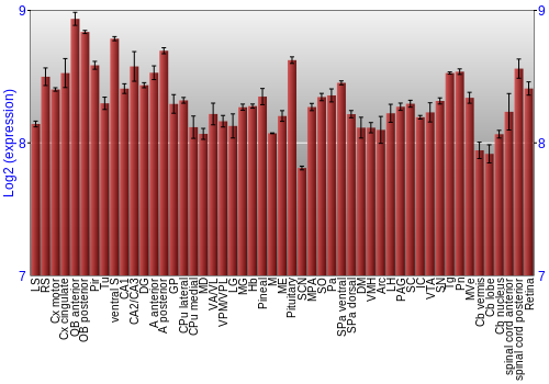 Expression graph