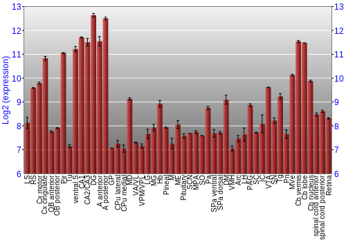 Expression graph