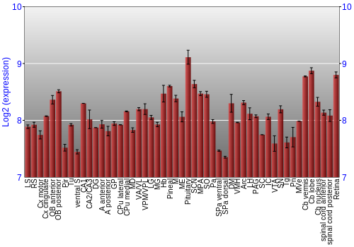 Expression graph