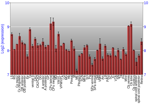 Expression graph