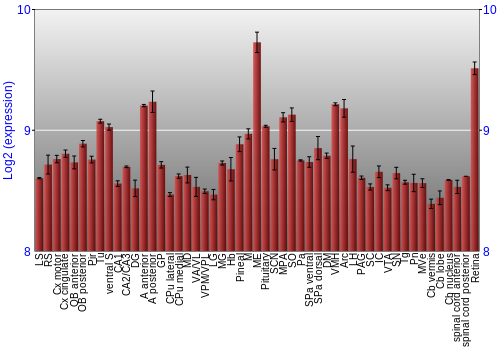 Expression graph