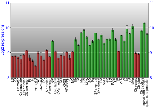 Multi-state expression graph