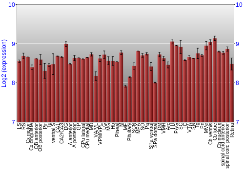 Expression graph