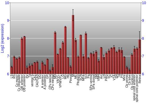Expression graph
