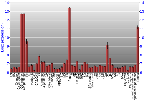 Expression graph