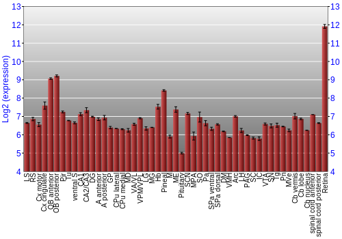 Expression graph