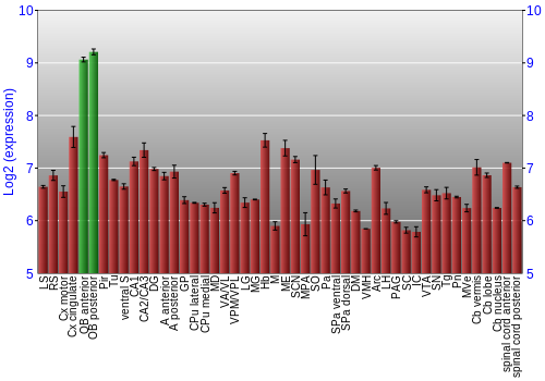 Multi-state expression graph