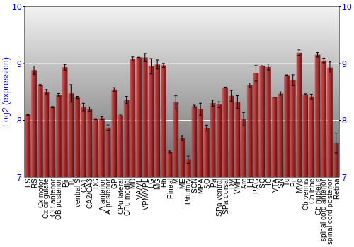 Expression graph