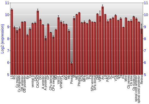 Expression graph