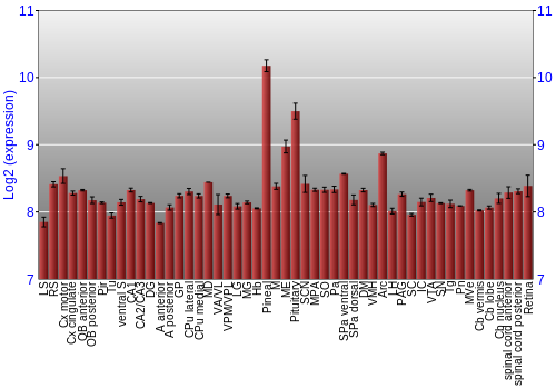Expression graph