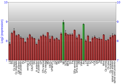 Multi-state expression graph