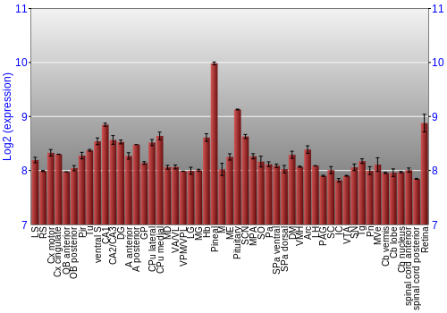 Expression graph