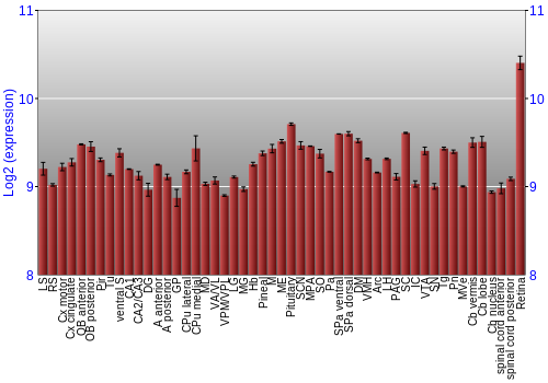 Expression graph