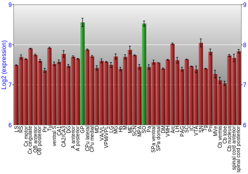 Multi-state expression graph