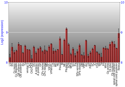 Expression graph