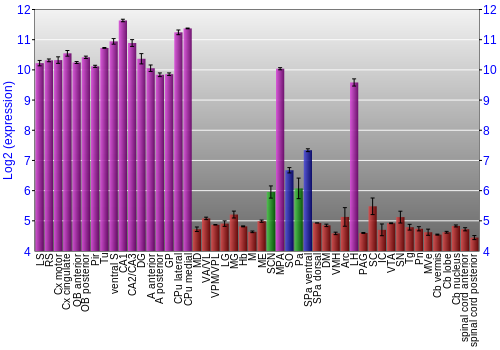 Multi-state expression graph