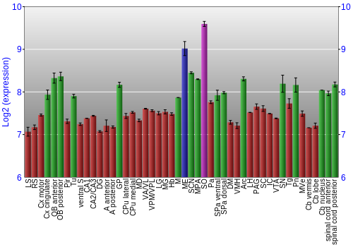 Multi-state expression graph
