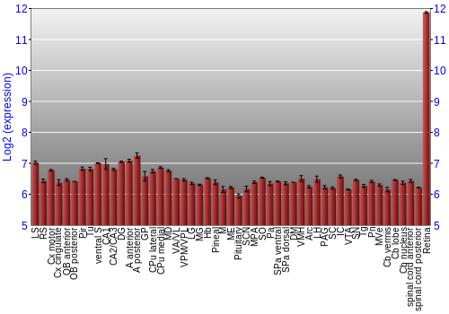 Expression graph