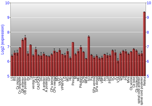 Expression graph