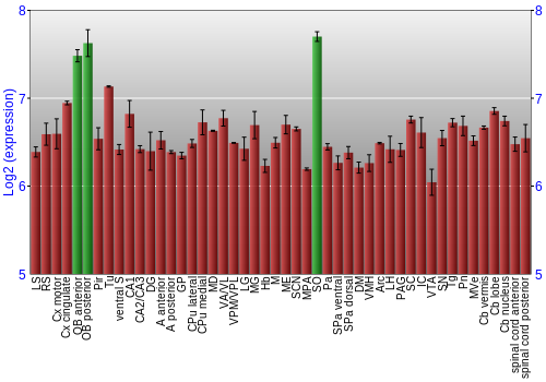 Multi-state expression graph
