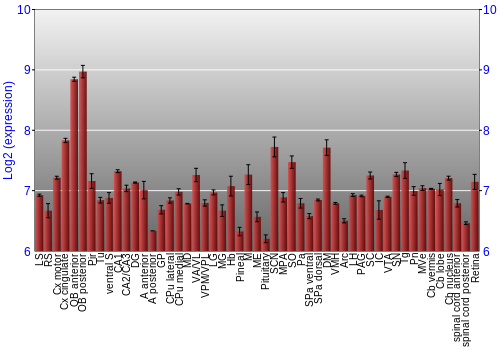 Expression graph