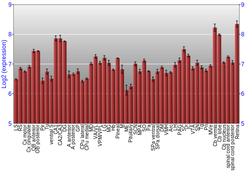 Expression graph