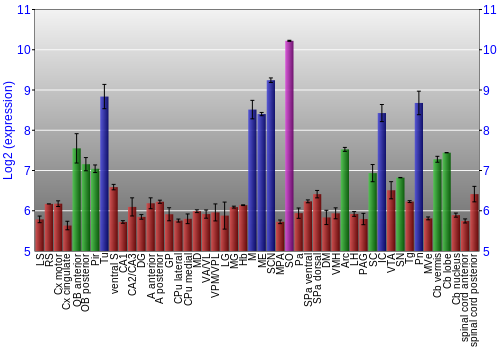 Multi-state expression graph