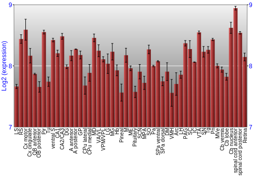 Expression graph