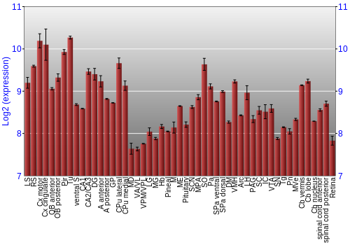 Expression graph